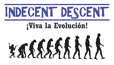 Indecent Descent - Viva La..